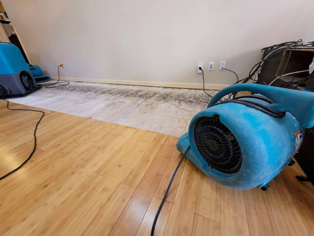 Professional Structural Drying technician working in Ulmer, SC